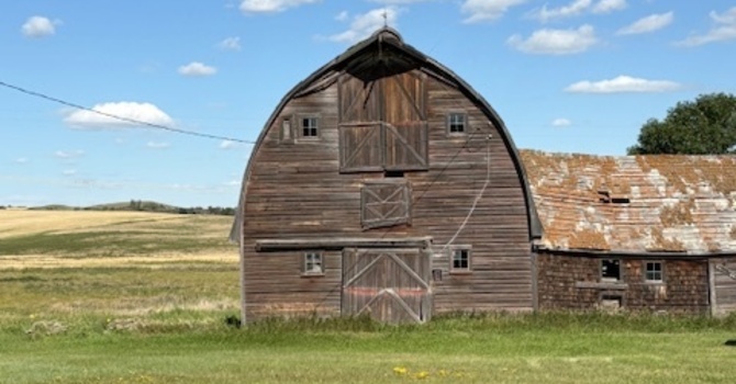 Adult Individual Counselling