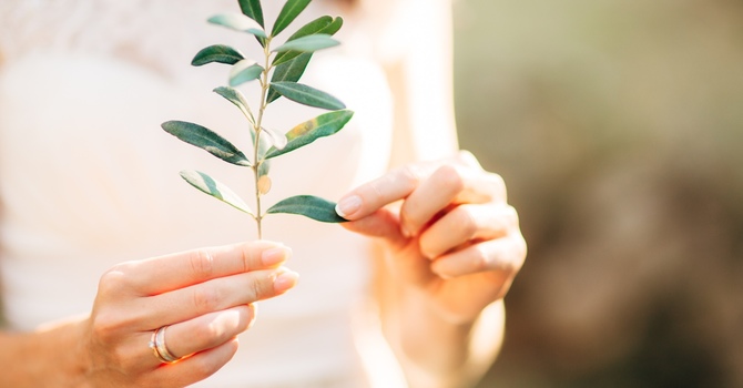 Teen Individual Counselling