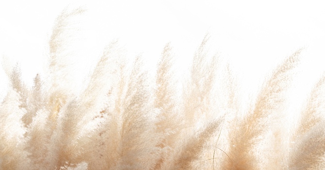 Teen Individual Counselling